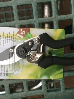 Holland Imports Pruner Bypass