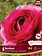 Florissa Ranuncules Amandine Bonbon
