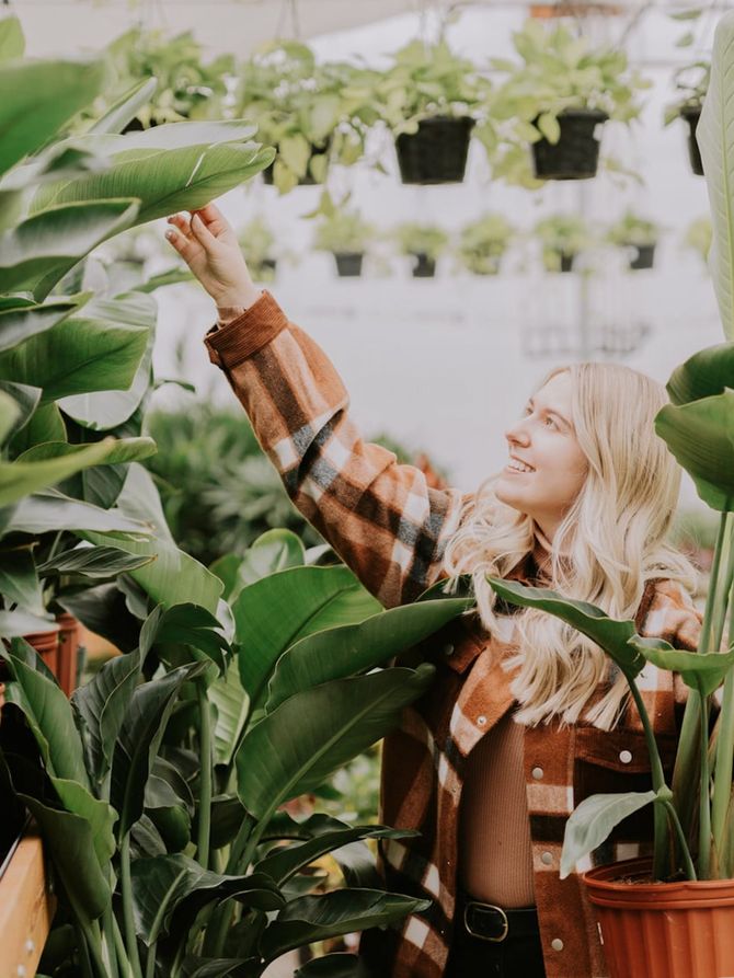 Dutch Growers Plants & Pots, Plantcare, Fashion, Home & Lifestyle