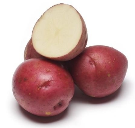 Earth Apples Norland Urban Balconist Seed Potatoes 3lb
