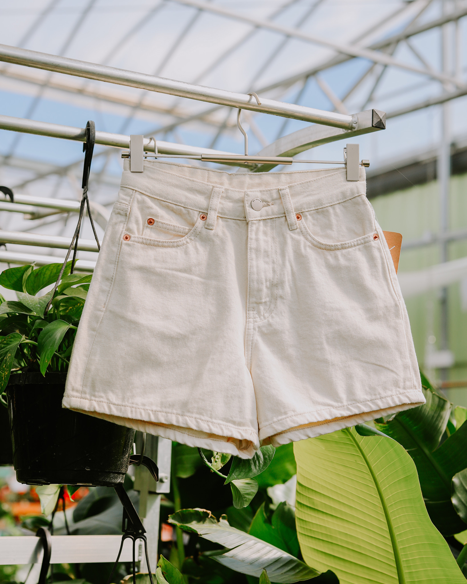 Nora Shorts - Dutch Growers Saskatoon