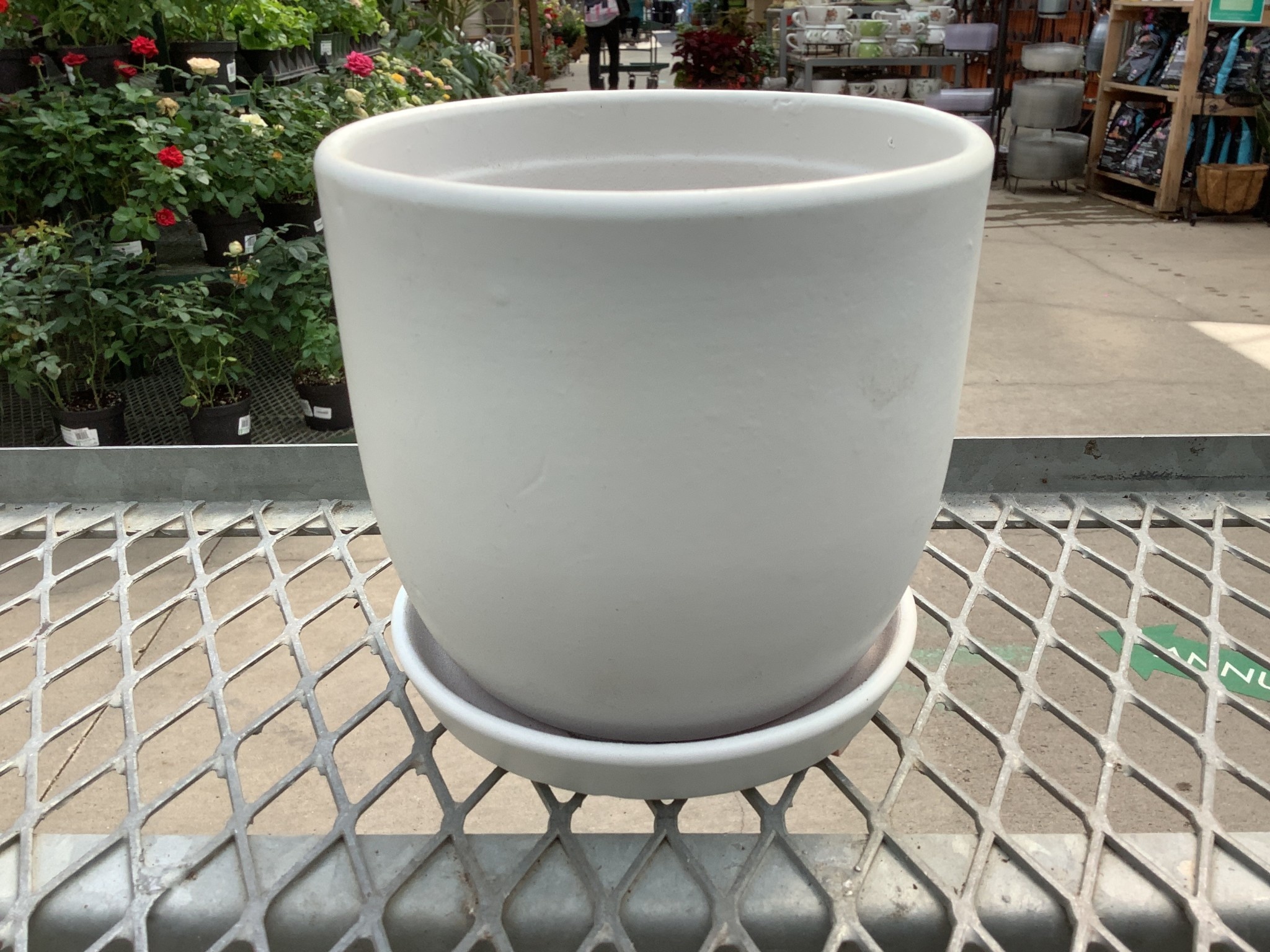 Eastham II Egg Pot With Saucer