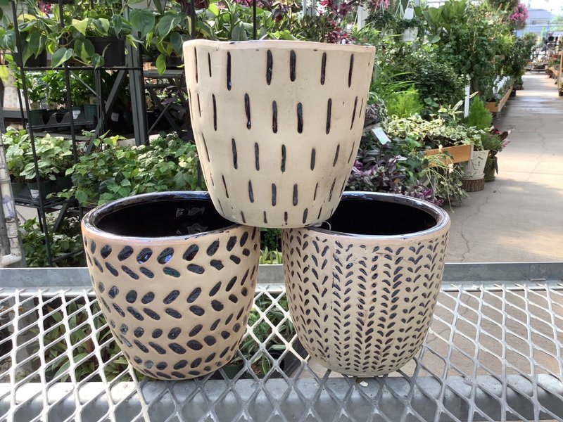 Cosmos Egg Pot Eclipse