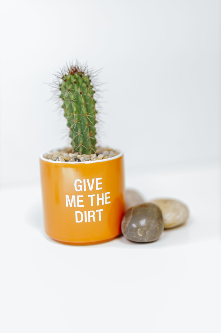 Give Me The Dirt Planter