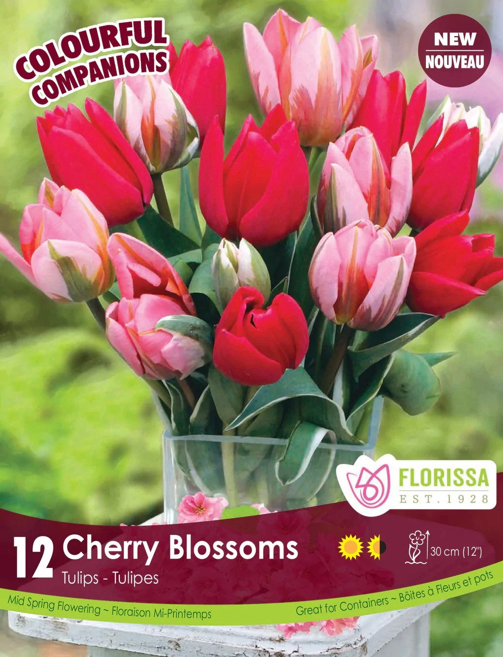 Florissa Tulip Cherry Blossom Bulb