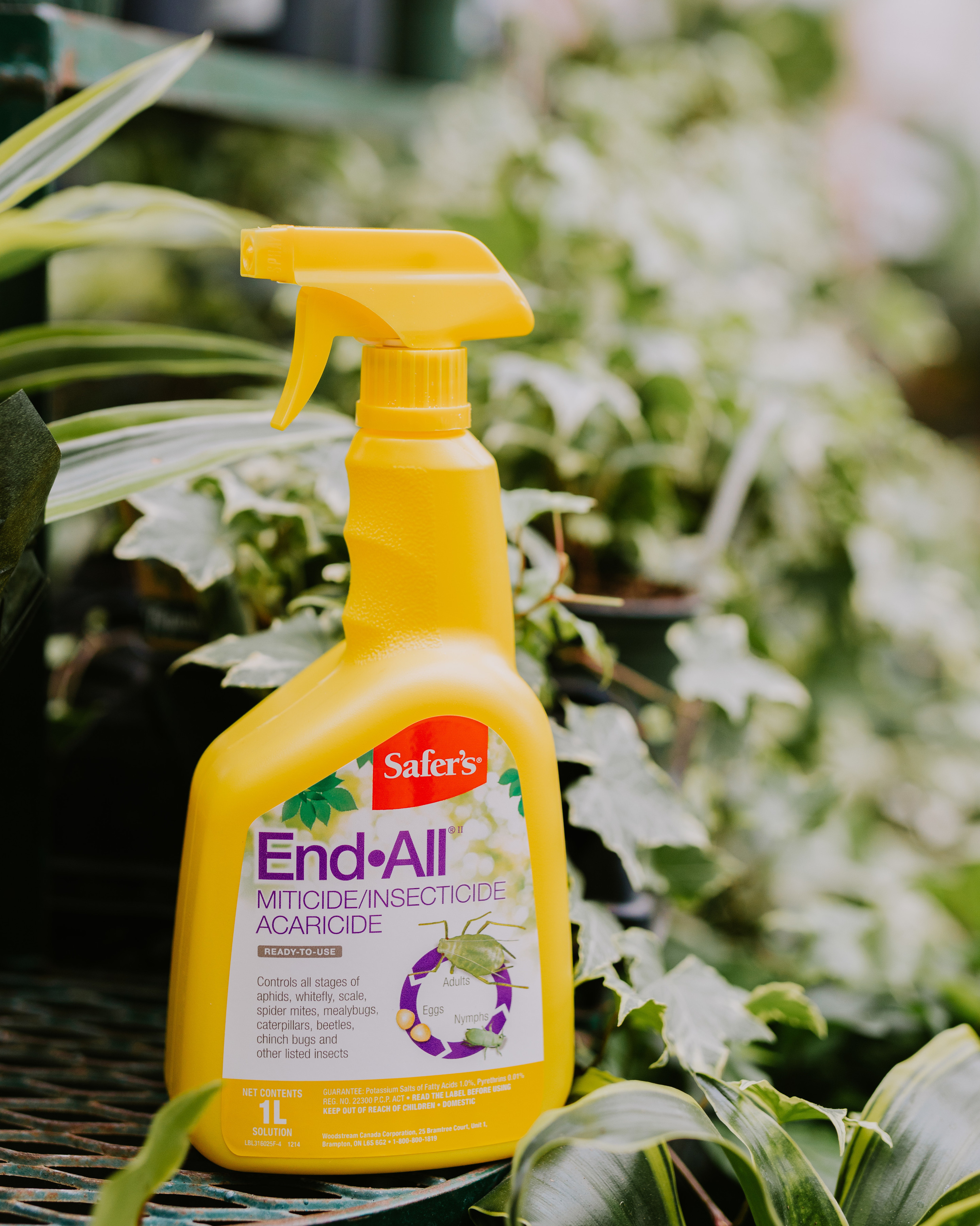 End All Ready to Use 1L Dutch Growers Saskatoon