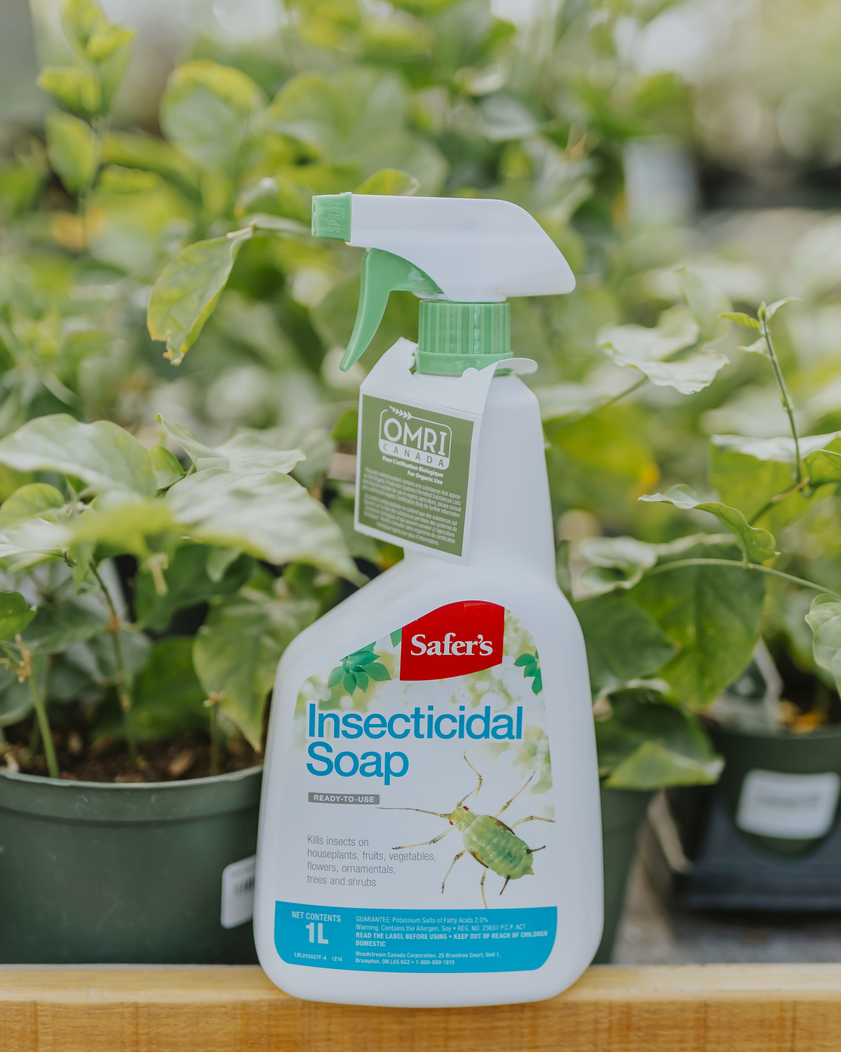 Safers Insecticidal Soap RTU 1L