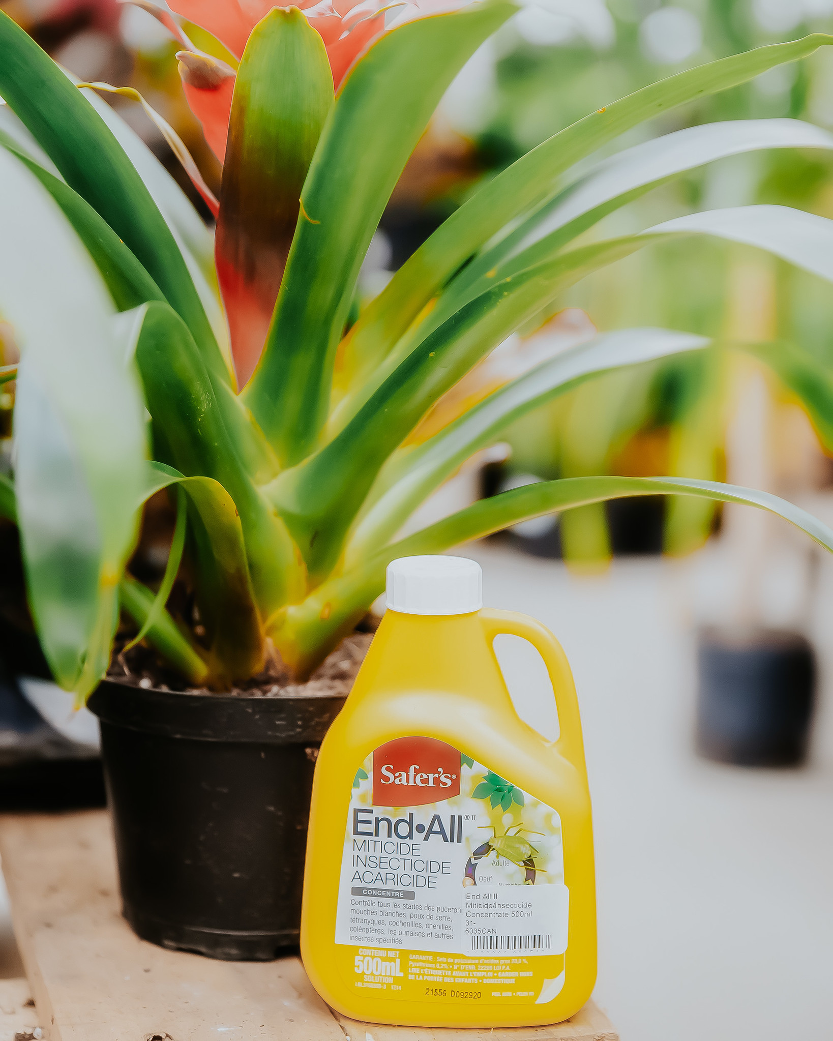 Safers End All II Concentrate 500ml