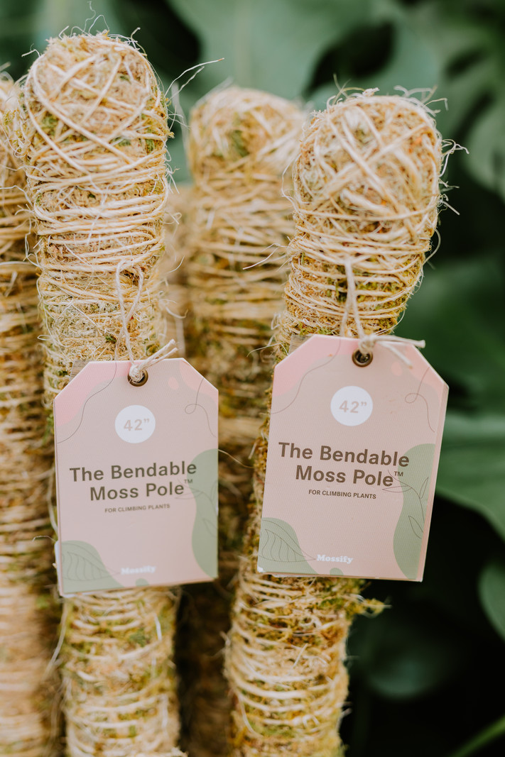 Mossify Bendable Moss Pole