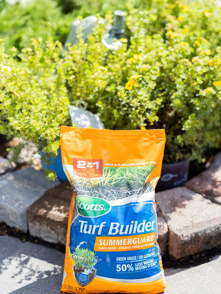 Scotts Turf Builder Summerguard Lawn Food 34-0-0 4kg