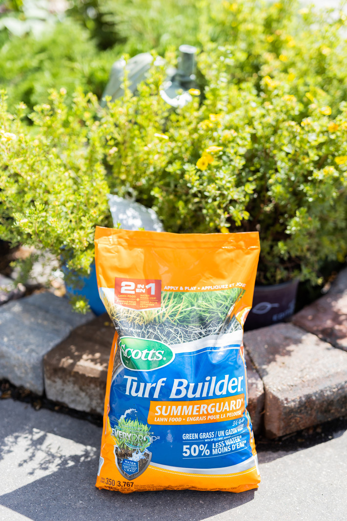 Scotts Turf Builder Summerguard Lawn Food 34-0-0 4kg