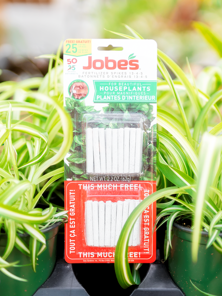 Jobes Houseplant Spikes Twin Pack