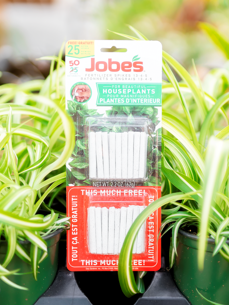 Jobes Houseplant Spikes Twin Pack