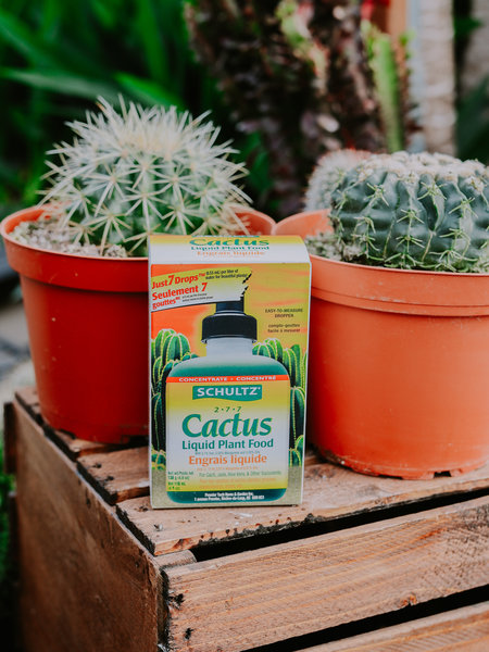 Schultz Liquid Cactus Plus 2-7-7 138g