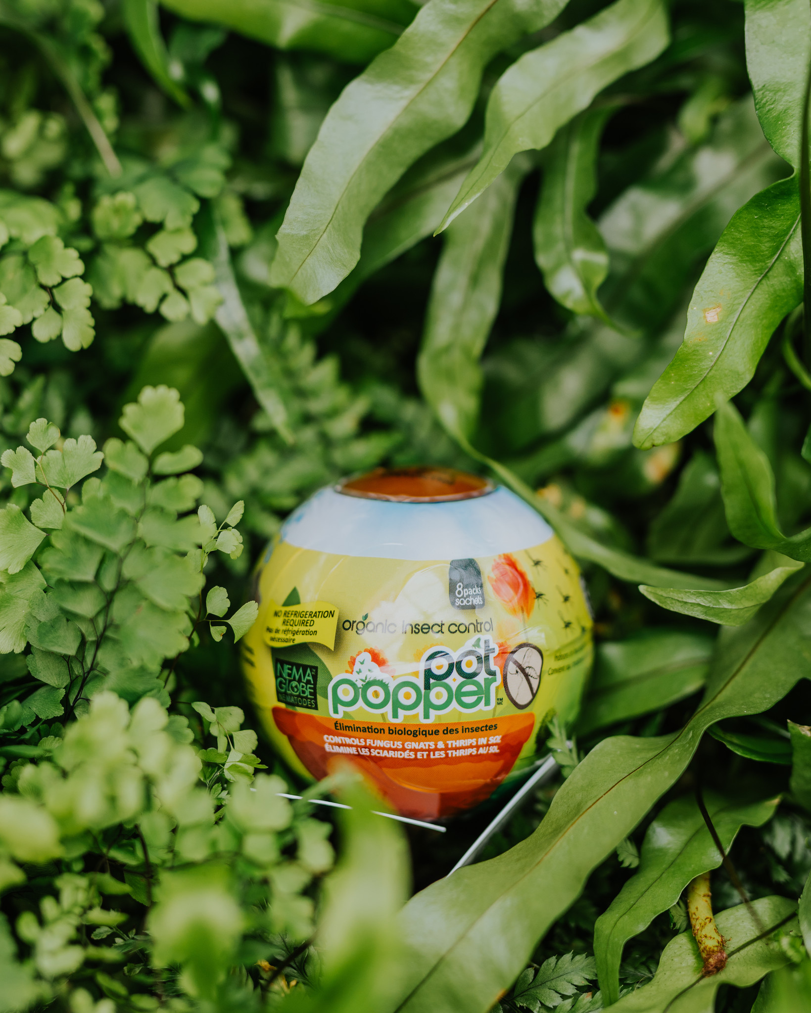 Nema Globe Nematode Globe Pot Poppers
