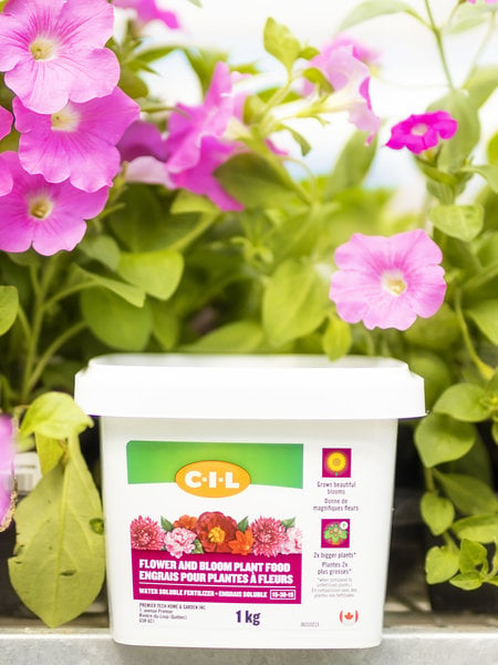 C-I-L Flowers and Bloom Fertilizer 15-30-15 1kg