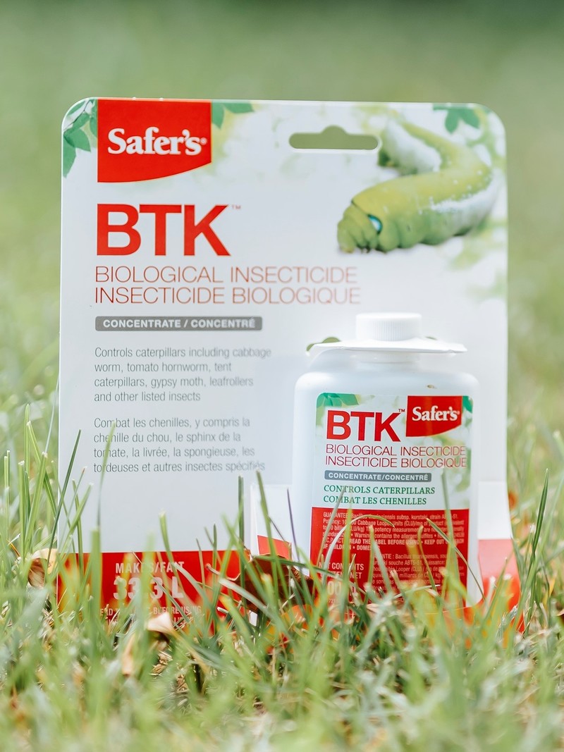 Safers BTK Insecticide Concentrate 100ml