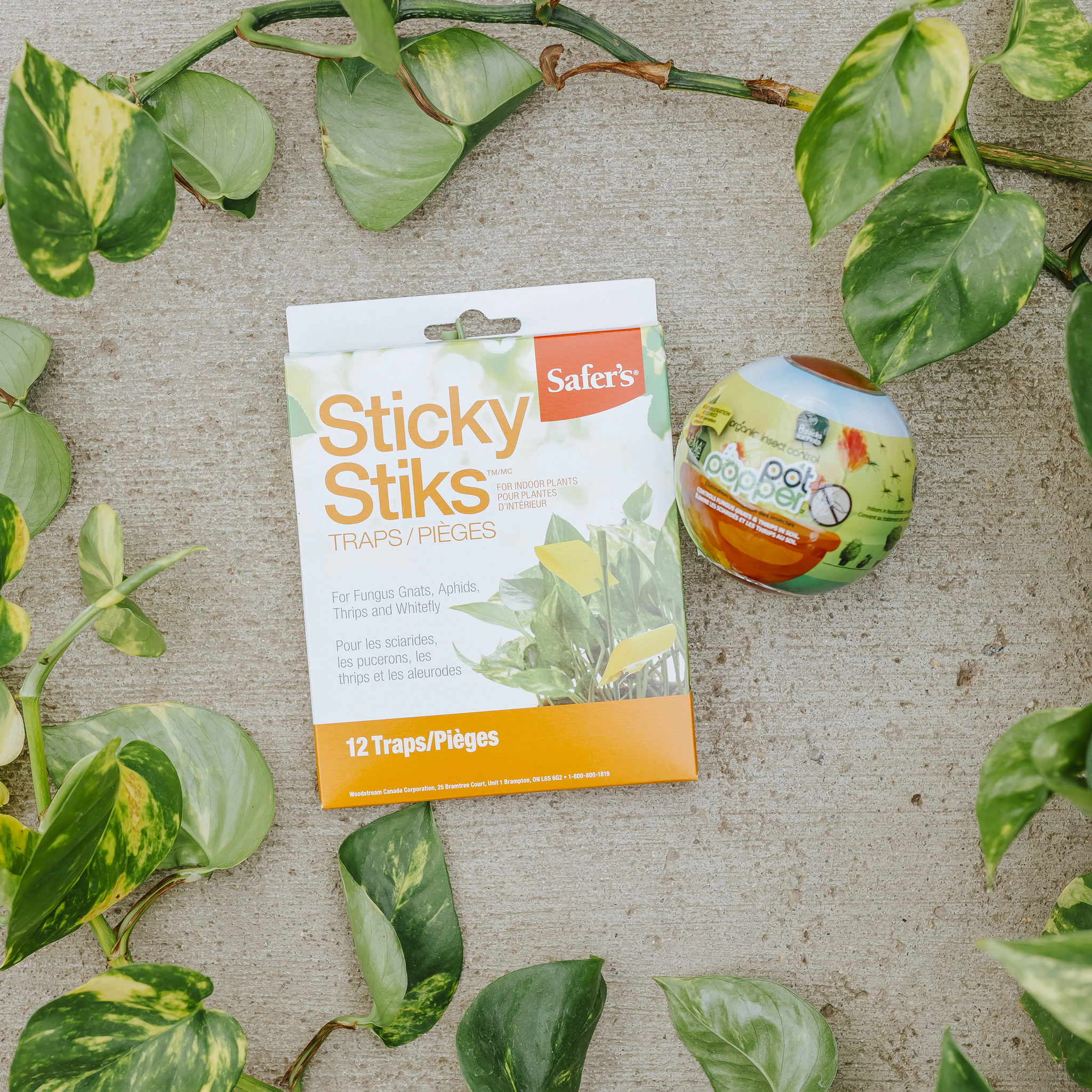 Safers Sticky Strips Traps