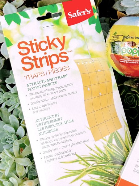 Safers Sticky Strips Traps