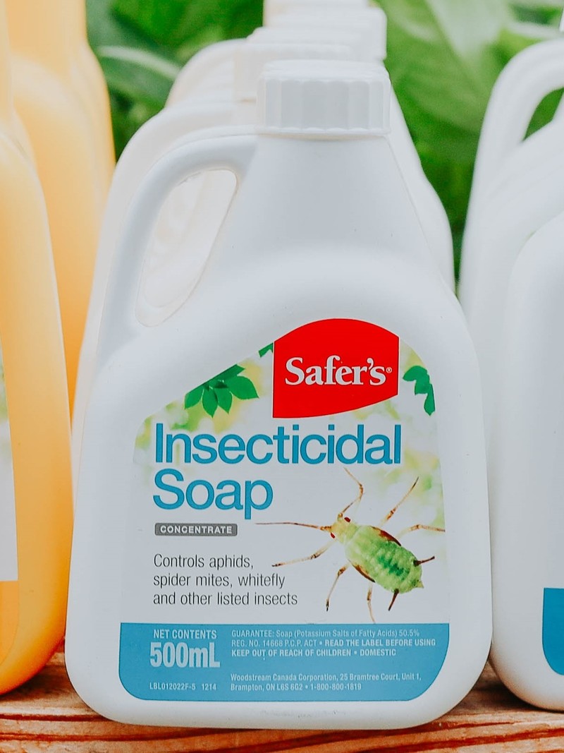 Safers Insecticidal Soap Concentrated 500ml