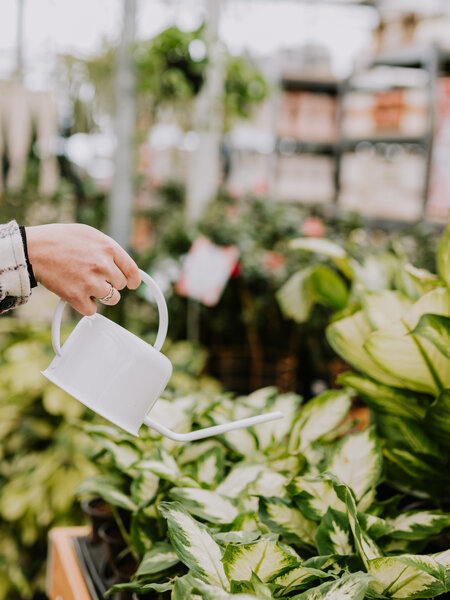 Watering Can