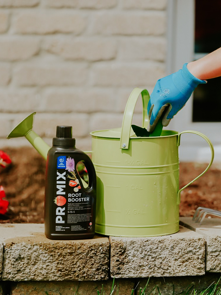 Pro Mix Root Booster 05-15-05 1L