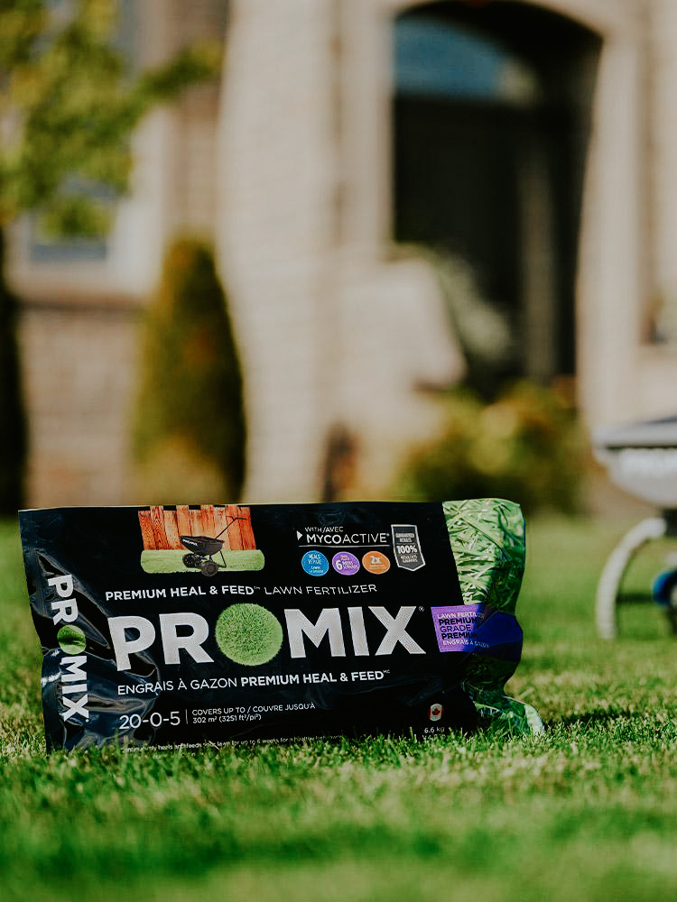 Pro Mix Heal and Feed Lawn Fertilizer 20-0-5 6.6kg