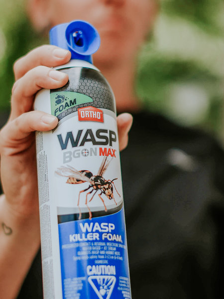 Ortho Wasp B Gon Max Foam 400g