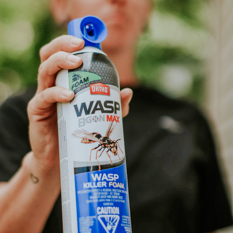 Ortho Wasp B Gon Max Foam 400g