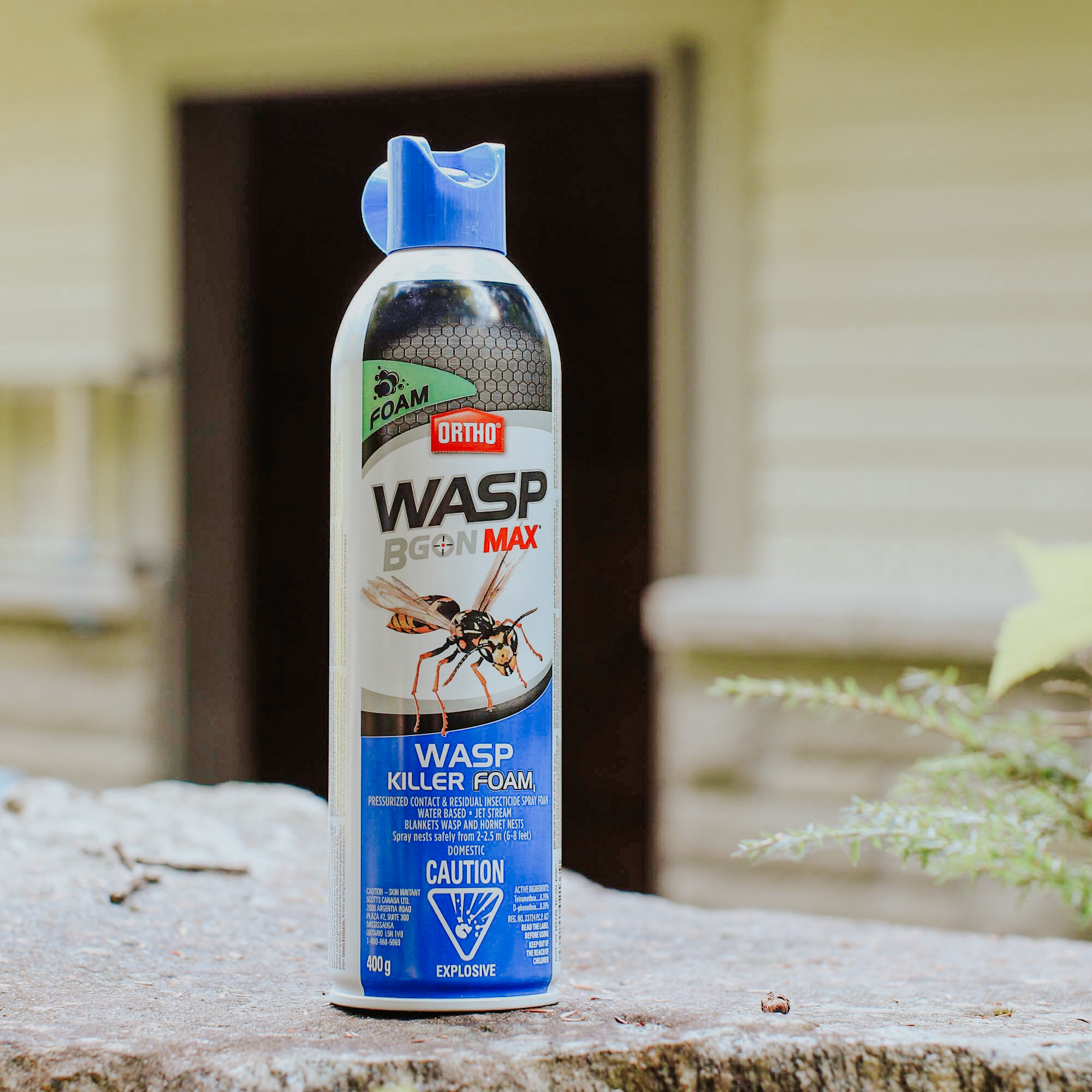 Ortho Wasp B Gon Max Foam 400g