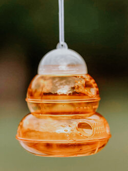Wilson Wasp Out Wasp Trap