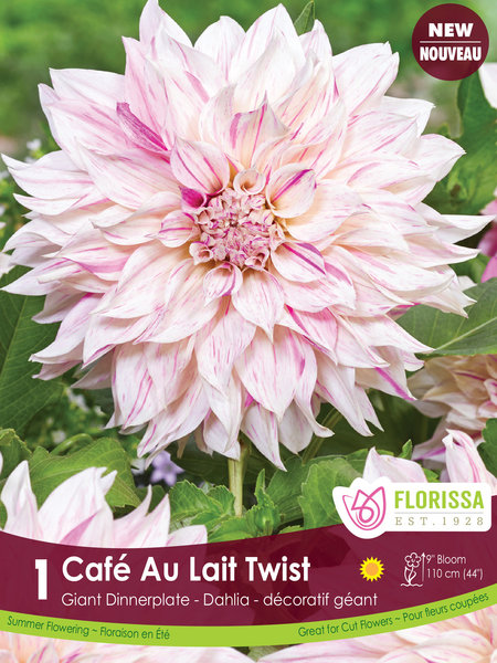 Florissa Dahlia Cafe au Lait Twist Dinnerplate