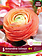 Florissa Ranuncules Amandine Salmon