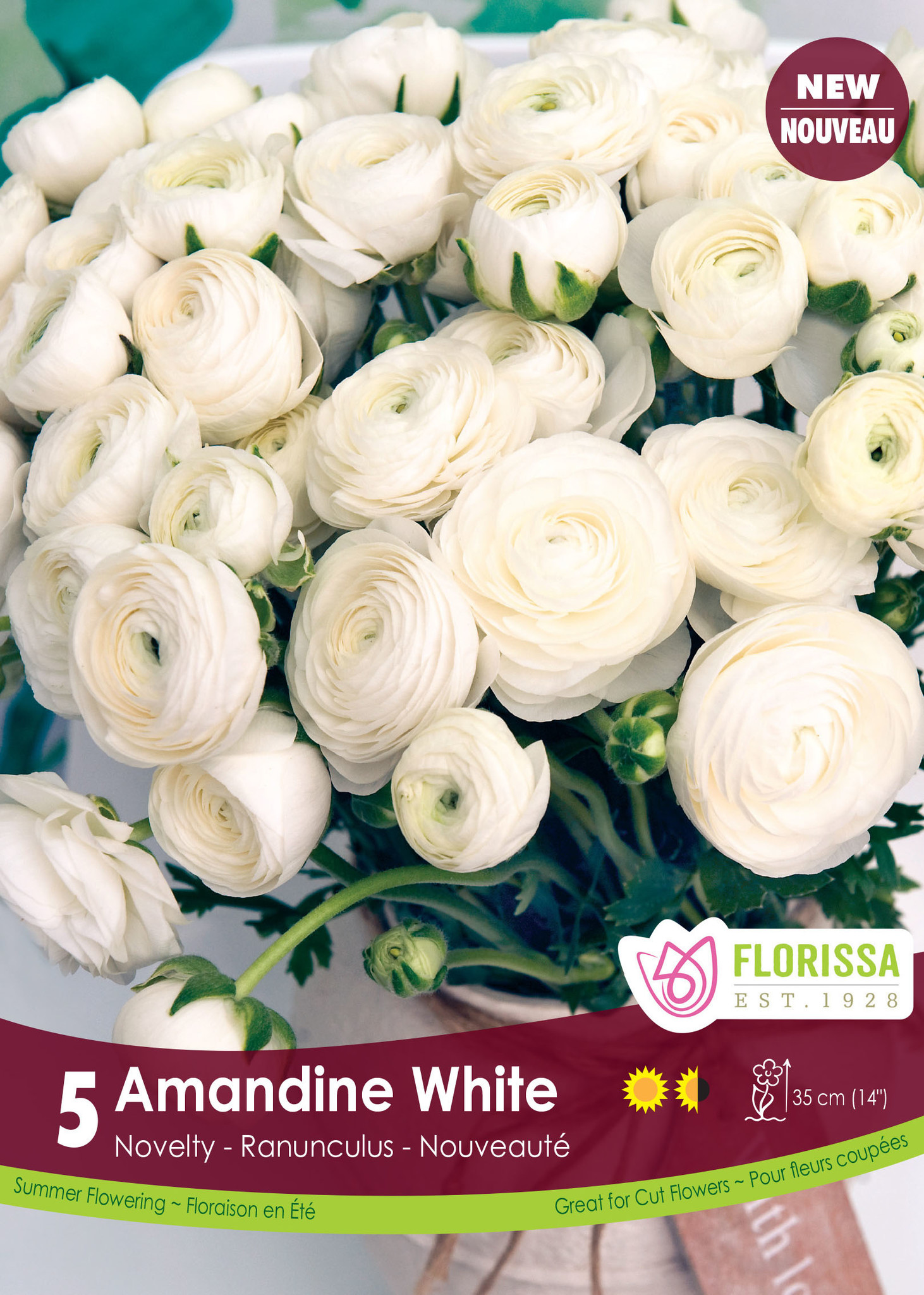 Florissa Ranunculus Amandine White