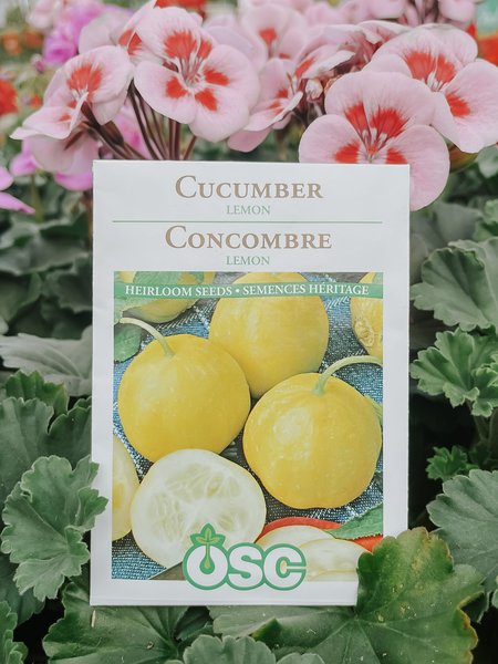 OSC Cucumber Lemon