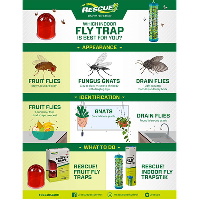 Rescue Pest Control Rescue Fruit Fly Trap 1PK