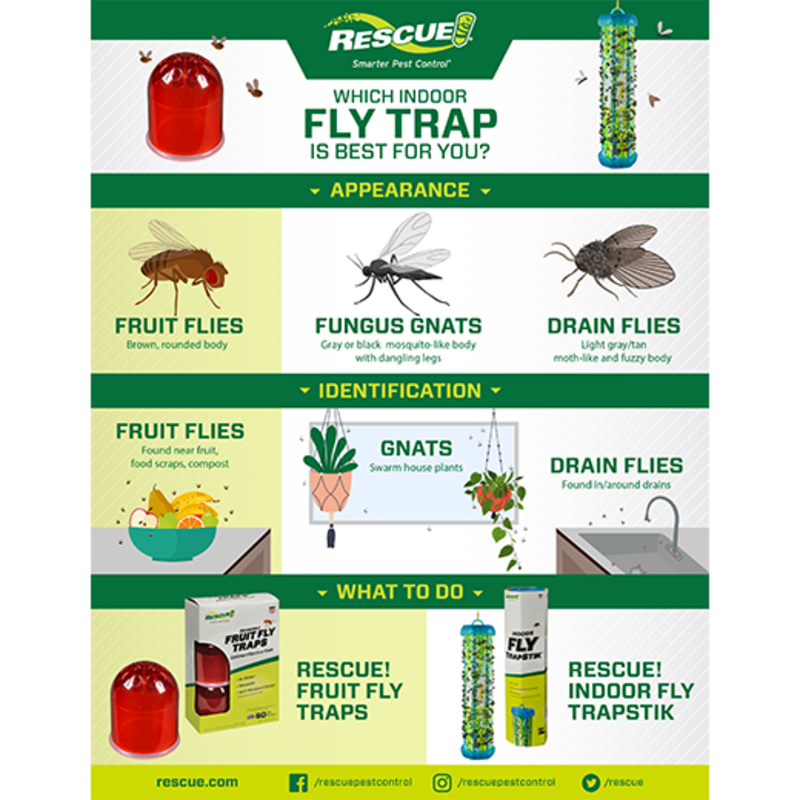 Rescue Pest Control Fruit Fly Trap Refill