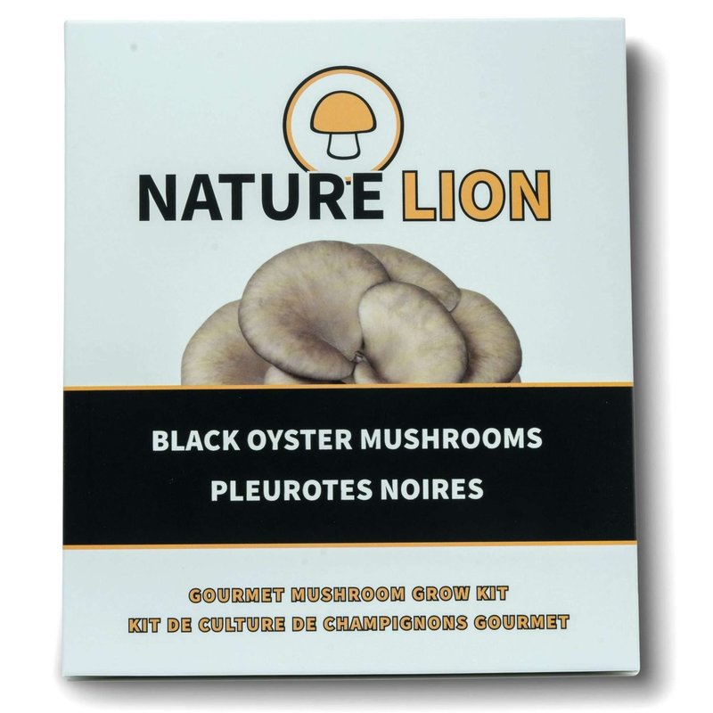 Nature Lion Black Oyster Mushroom Kit