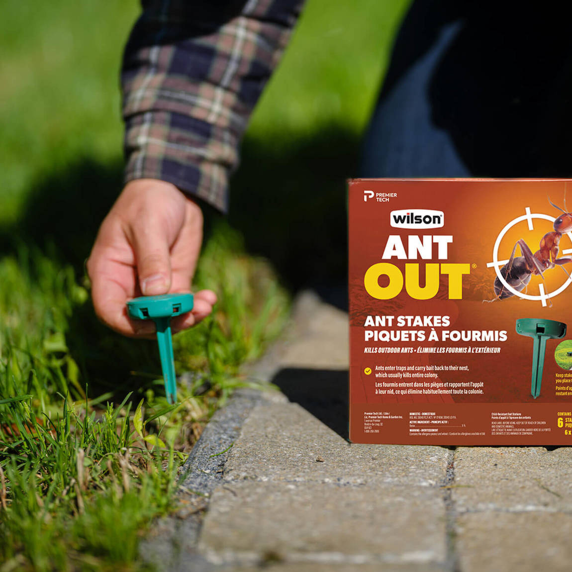 Wilson AntOut Outdoor Ant Stakes