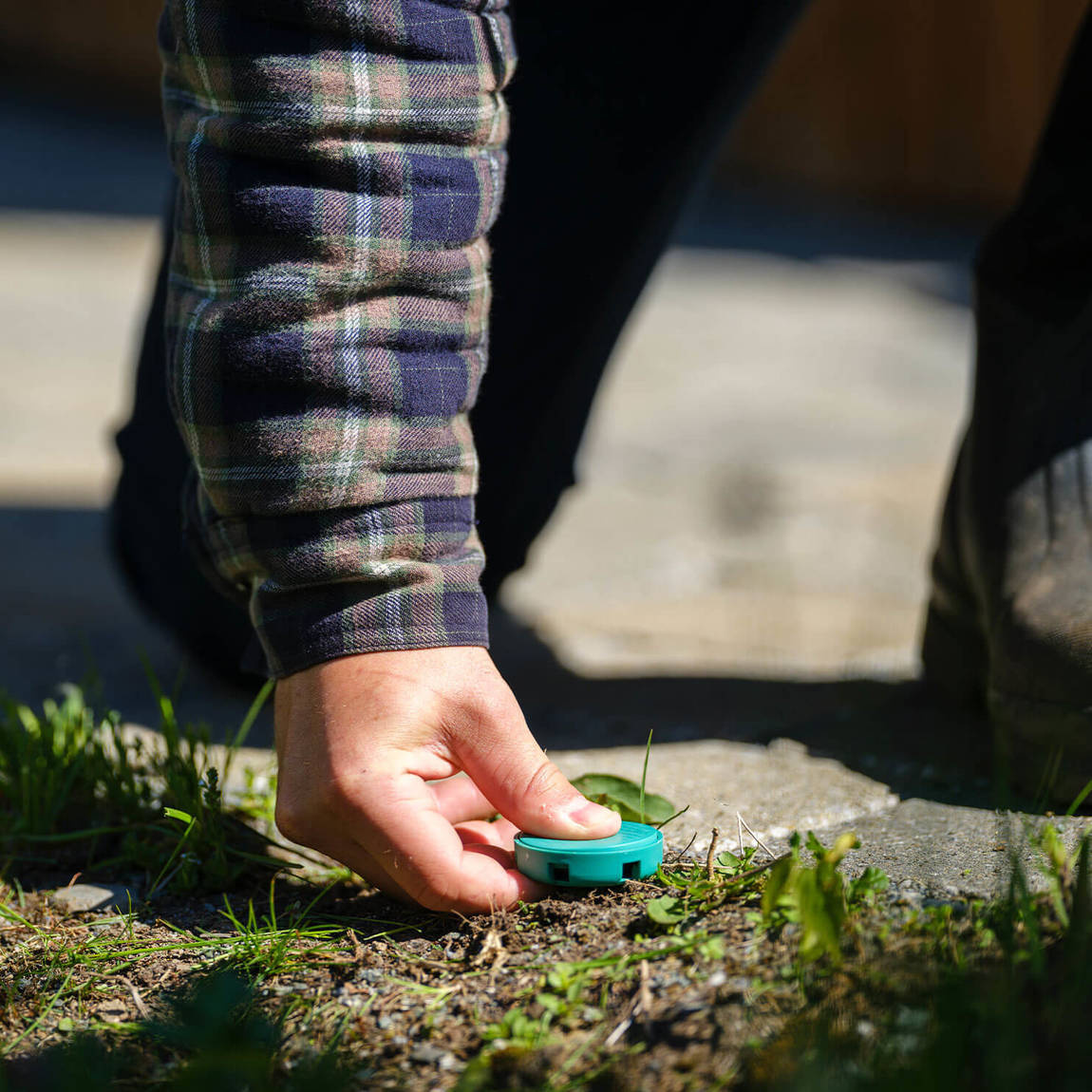 Wilson AntOut Outdoor Ant Stakes