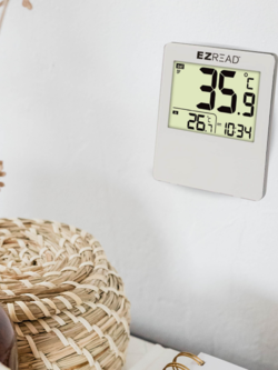 EZRead Digital Thermometer 4"
