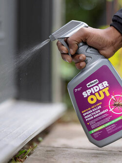 Wilson Spider Out Ready to Use 1L
