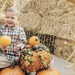 Pumpkin Maze Group Bookings