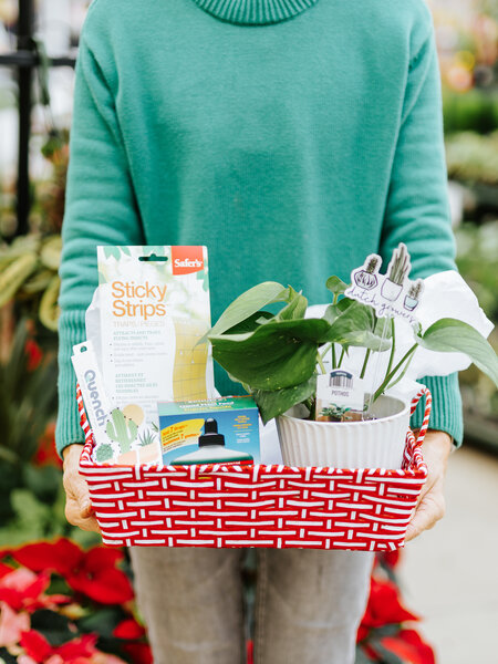 Dutch Growers Plant Lovers Holiday Gift Basket