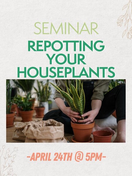 Dutch Growers SEMINAR: Repotting your Houseplants -April 24th @ 5pm-