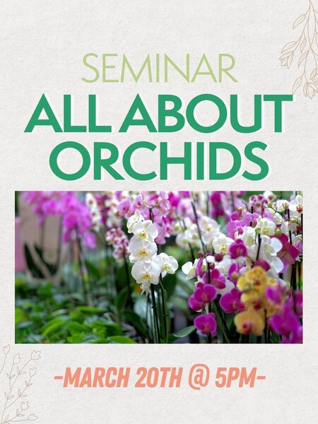 Dutch Growers SEMINAR: All About Orchids -March 20th @ 5pm-