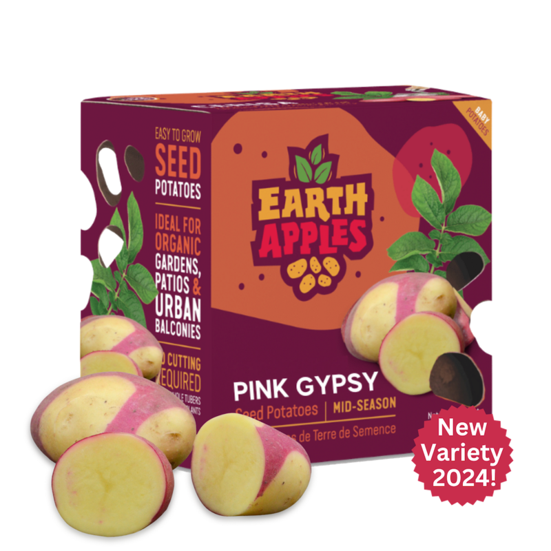 Earth Apples Pink Gypsy Seed Potatoes 1kg