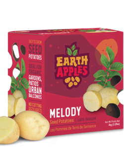 Earth Apples Melody Seed Potatoes 1kg