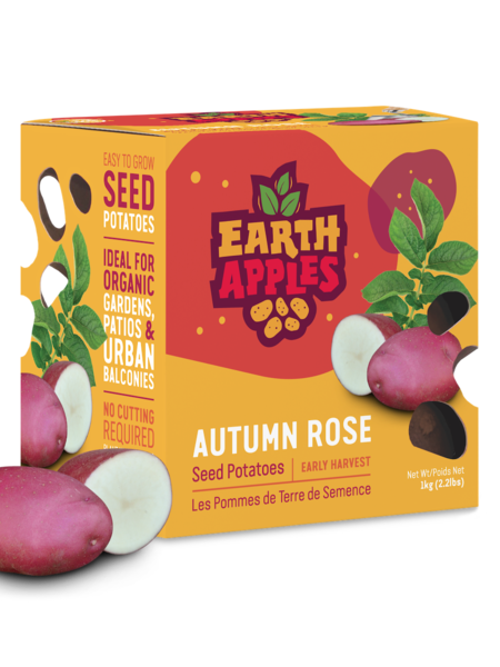 Earth Apples Autumn Rose Seed Potatoes 1kg