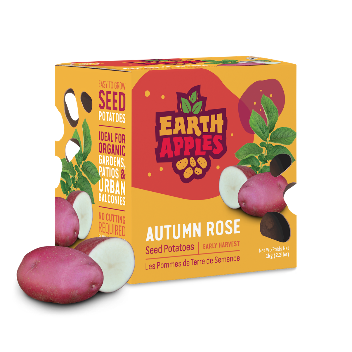Earth Apples Autumn Rose Seed Potatoes 1kg
